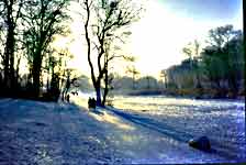 Winter im Jenischpark